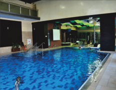 室內(nèi)游泳池專用除濕機 